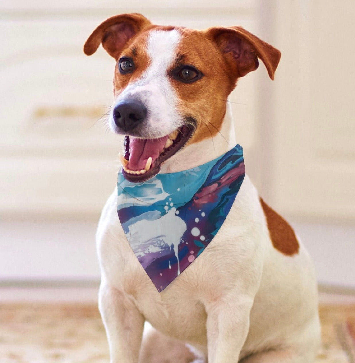 Pet supplies