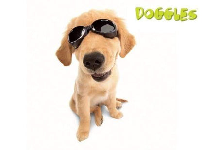 Doggles ILS Protective Dog Eyewear