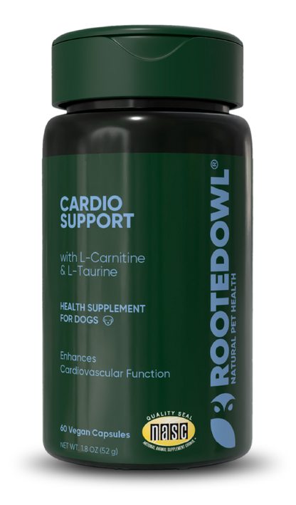 Cardio Support