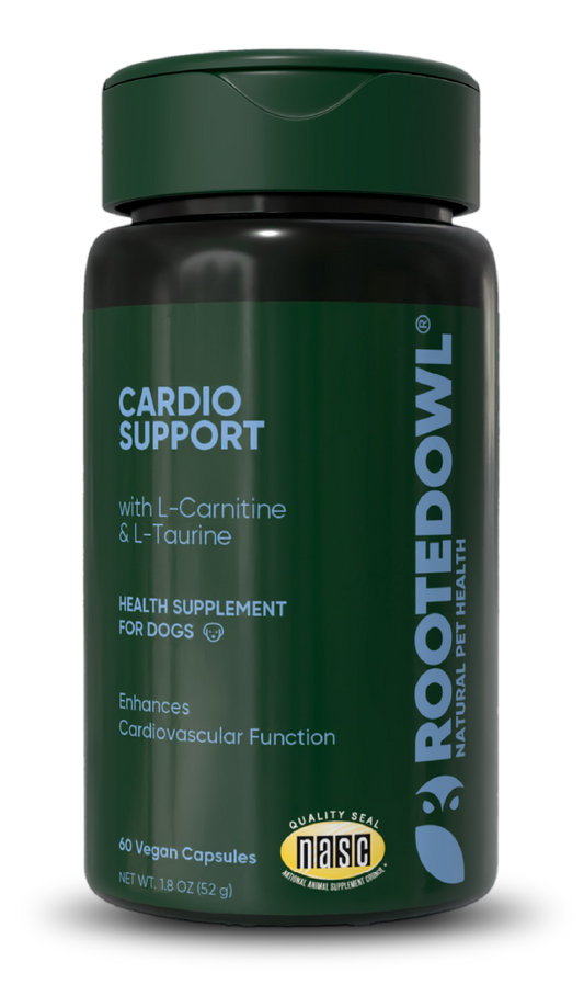 Cardio Support