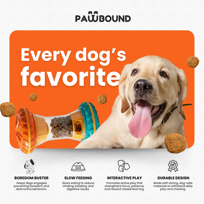 Paw Bounds™ Interactive Dog Puzzle Toy