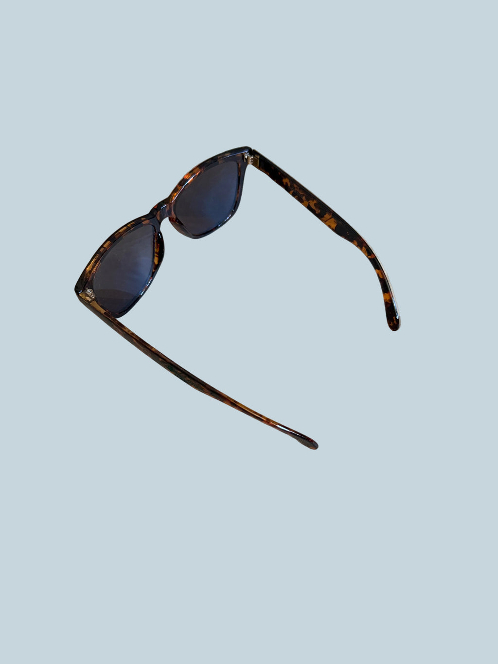 Colossein Sunglasses.