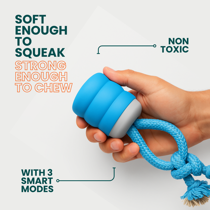 The Chase Buddy Dog Boredom Stimulating Toy