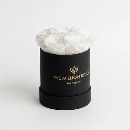 Basic Black Box | White Roses