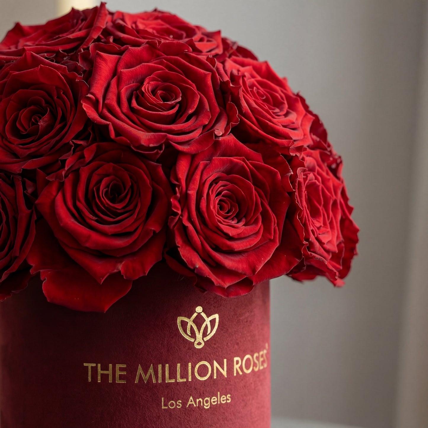 Basic Bordeaux Suede Superdome Box | Red Roses