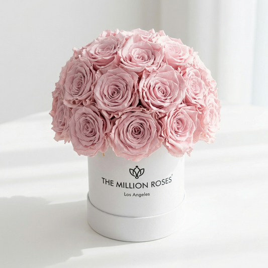 Basic White Superdome Box | Light Pink Roses