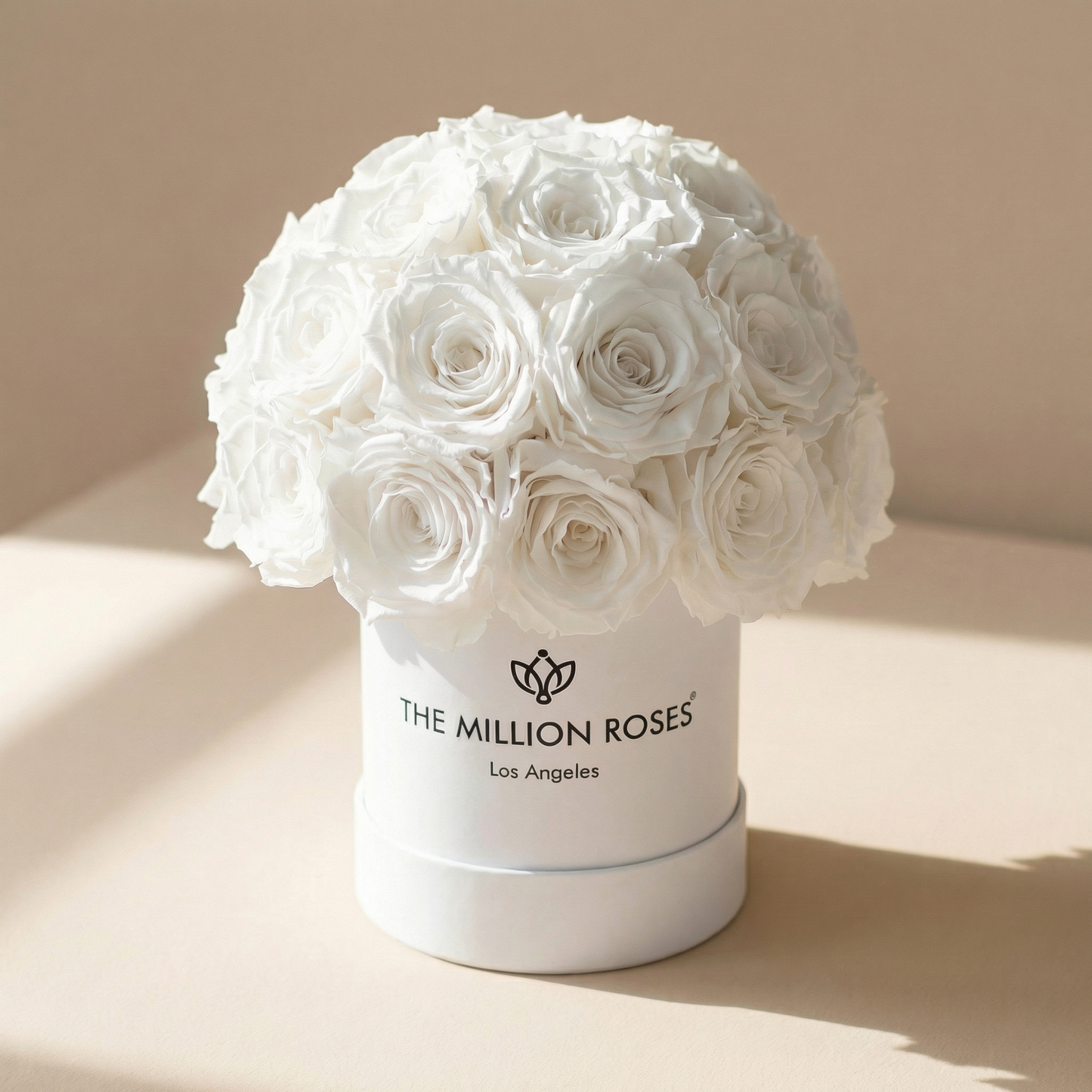 Basic White Superdome Box | White Roses
