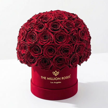 Classic Bordeaux Suede Superdome Box | Burgundy Roses