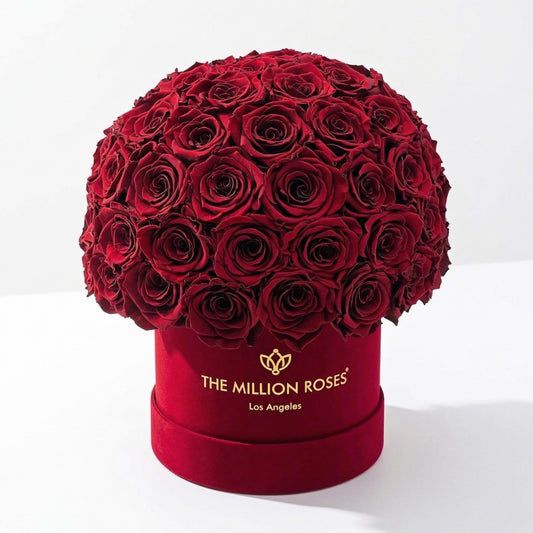 Classic Bordeaux Suede Superdome Box | Burgundy Roses