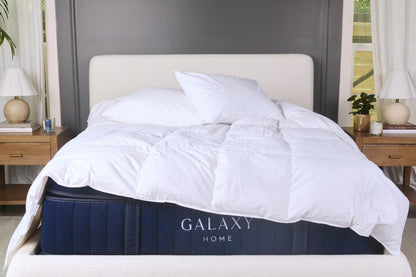 Down Duvet Insert
