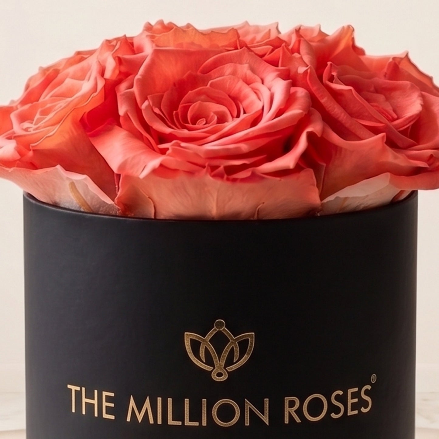 Basic Black Box | Coral Roses