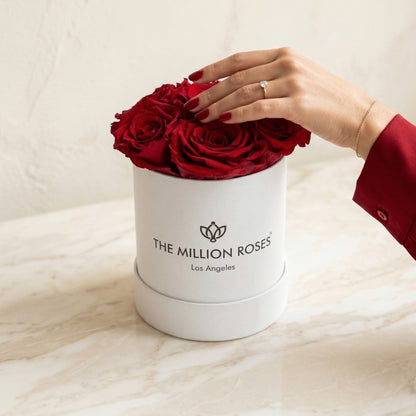 Basic White Box | Red Roses