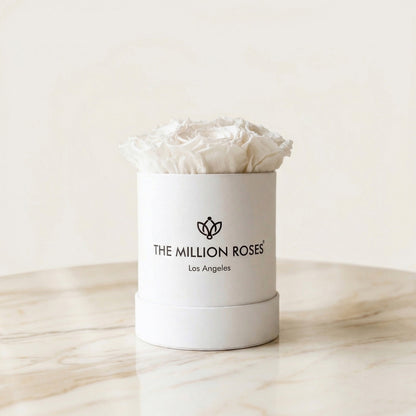 Basic White Box | White Roses