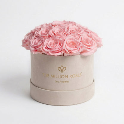 Classic Beige Suede Dome Box | Light Pink Roses