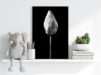 Flower Aluminum Print