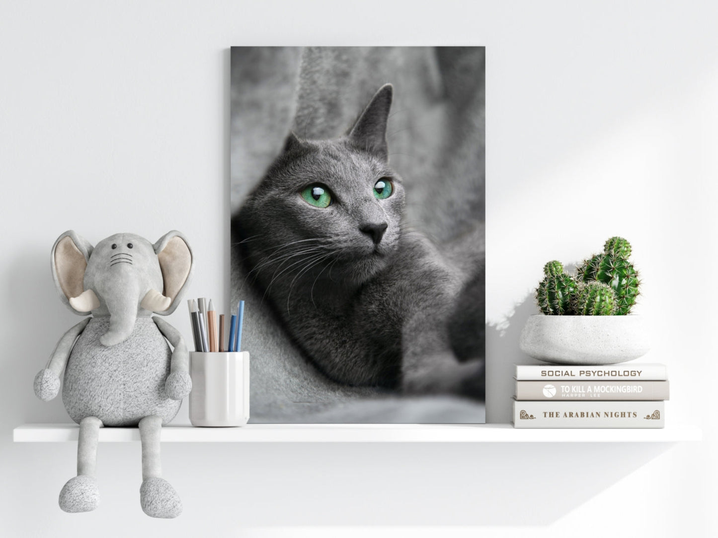 Cat Aluminum Print