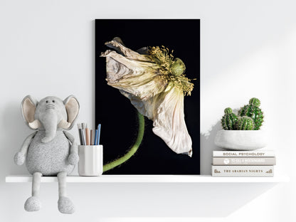 Flower Aluminum Print