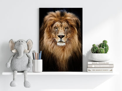Lion Aluminum Print