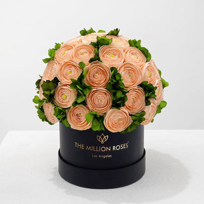 Classic Black Box | Peach Persian Buttercups & Green Hydrangeas