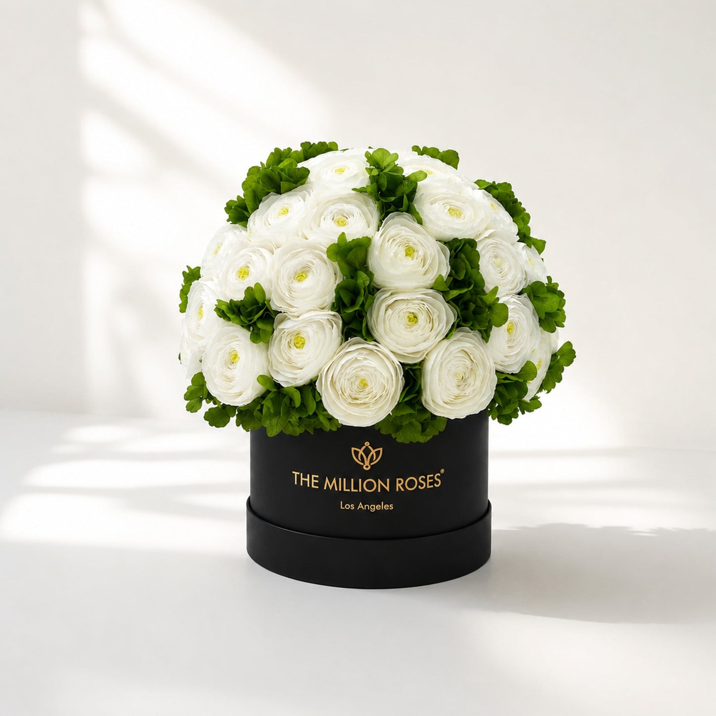 Classic Black Box | White Persian Buttercups & Green Hydrangeas