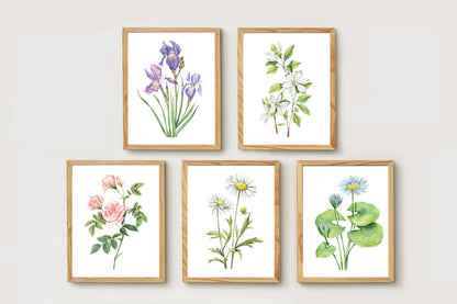 Watercolor Florals Art Print, Framed (12" x 16")
