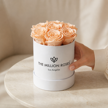 Basic White Box | Peach Roses