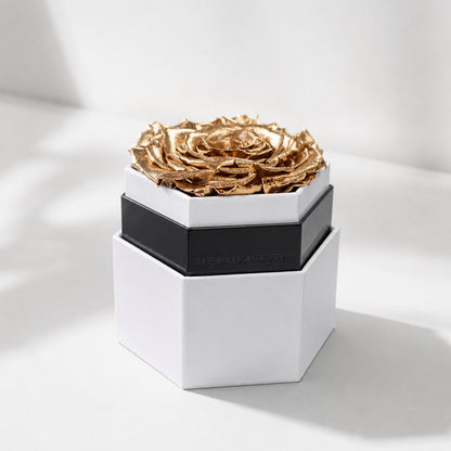 One in a Million™ White Hexagon Box | Gold Rose